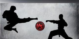 Karate vs Taekwondo